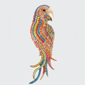 New Designer Rhinestone Parrot Brooch/Pin
